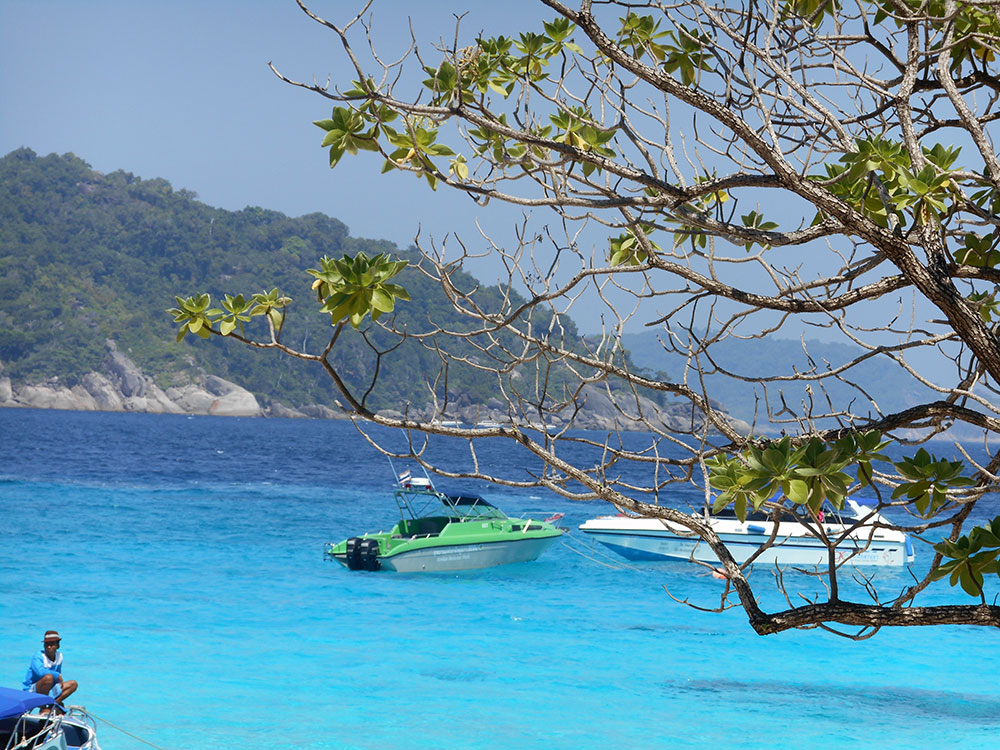 DÉCOUVERTE V.I.P SIMILAN 4200 BATH