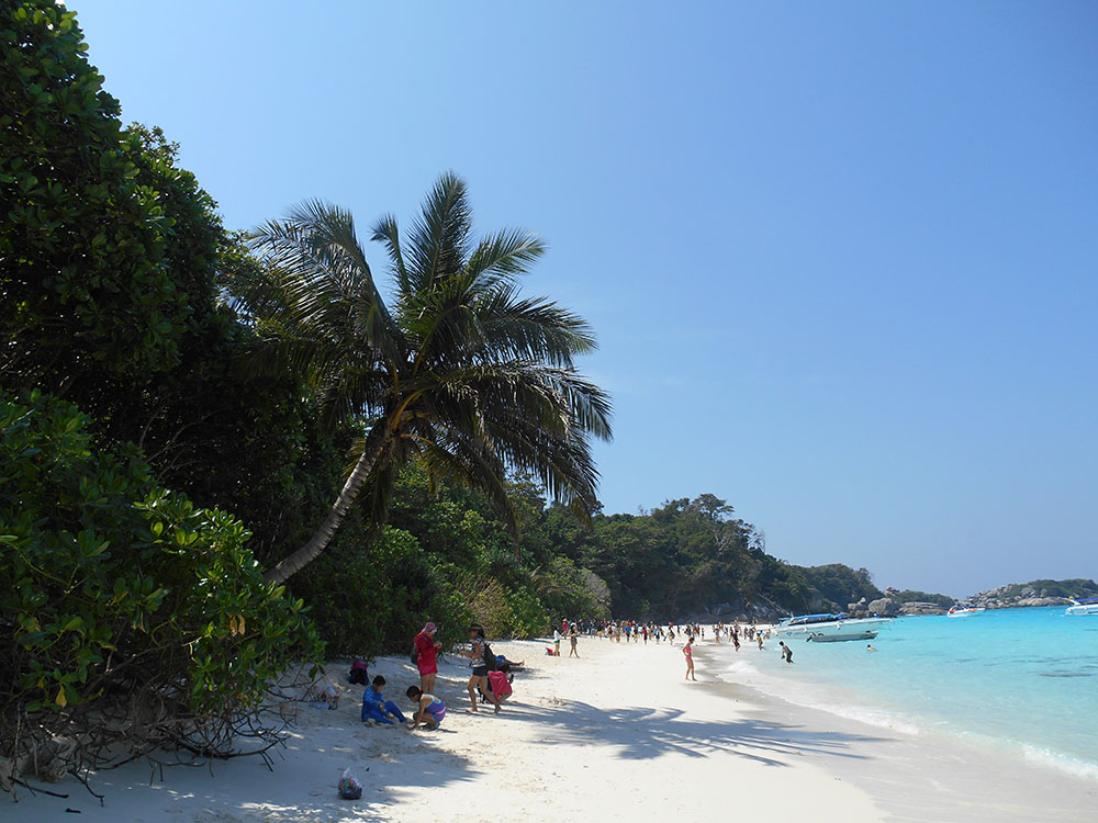 DÉCOUVERTE V.I.P SIMILAN 4200 BATH